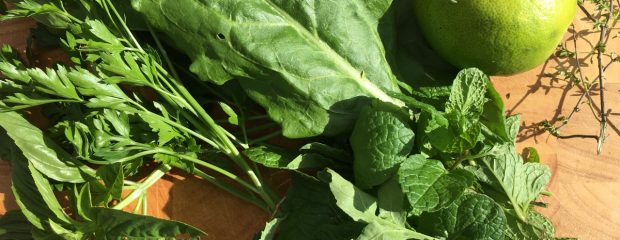 iron deficiency anaemia