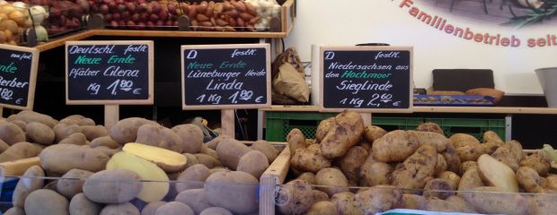 potato poultice bruise naturopath