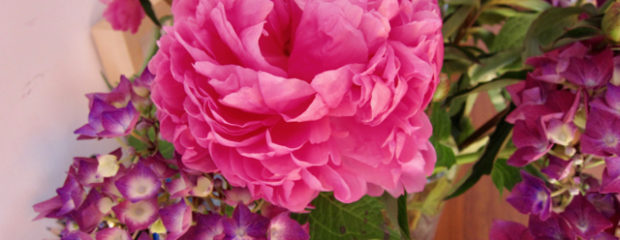 flowers chemotherapy