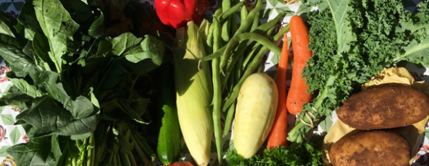 Gill Stannard naturopath nutritionist eat more vegetables