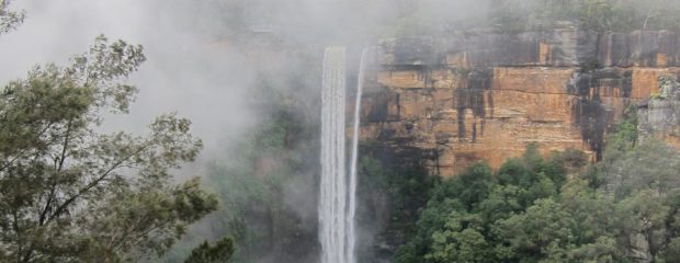 Sydney naturopath Gill Stannard