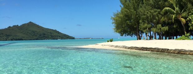 Sydney naturopath Gill Stannard