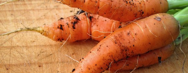 vegetarian recipes gill stannard naturopath sydney