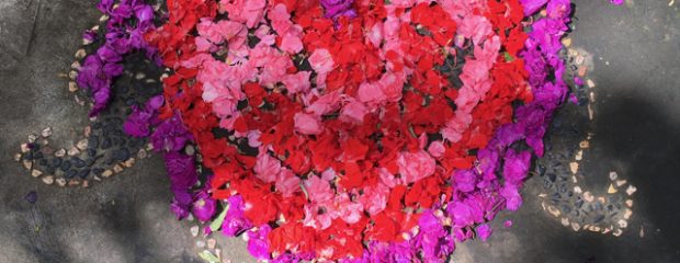 naturopath menopause sydney gill stannard