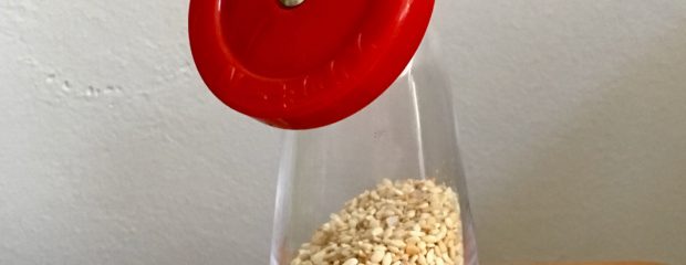 recipe gomashio Gill Stannard naturopath