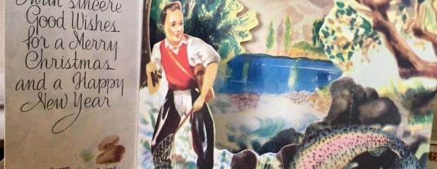 Christmas health Gill Stannard naturopath Sydney