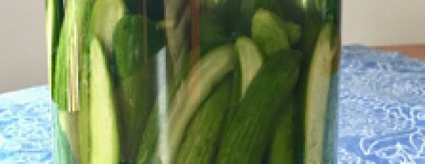 reipce pickles cucumber vegetable brine vegan