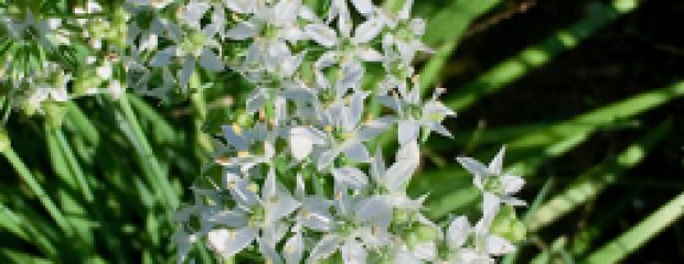 autumn health naturopath Sydney