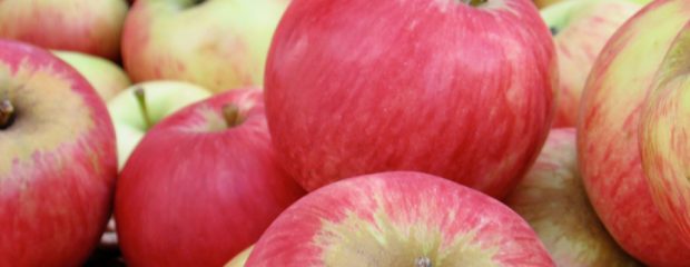 seasonal food naturopath