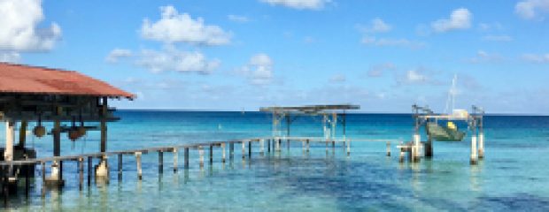 natural travel health