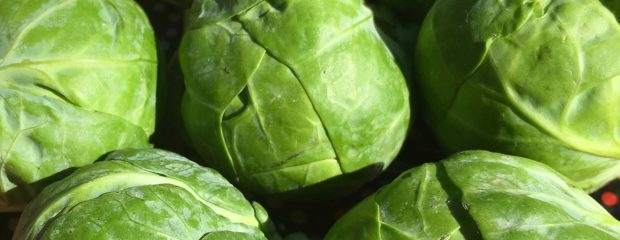 how to make brussels sprouts taste good