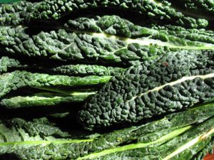 kale recipes naturopath stannard