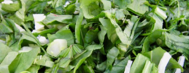 fennel recipes naturopath sydney