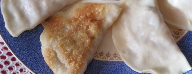 gyoza recipe naturopath vegetarian
