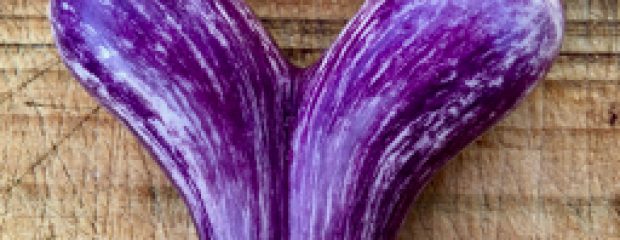 eggplant naturopath seasonal food australia