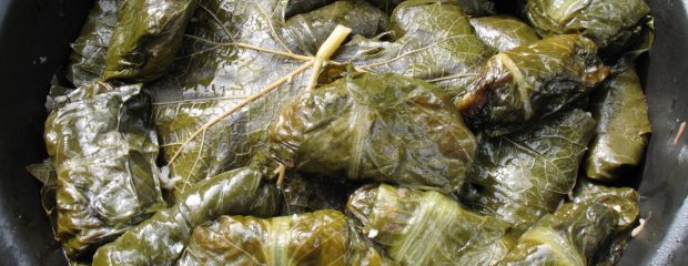 pot of cooked vine leaf dolamas by naturopath Gill Stannard