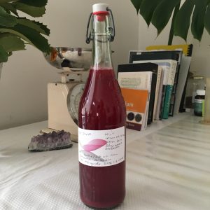 bottle of red berry wild soda made by sydney naturopath