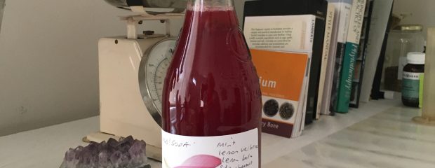 bottle of red berry wild soda made by sydney naturopath