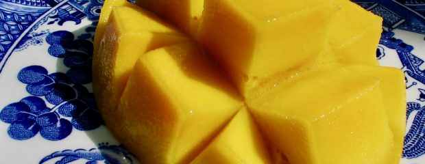 healthy recipes by Gill Stannard Naturopath picture of mango halve on a blue plate