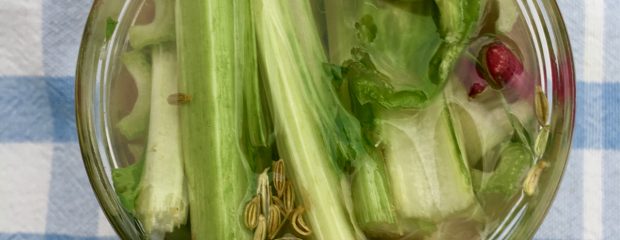 jar of pickled rainbow chard stems recipe by Gill Stannard naturopath