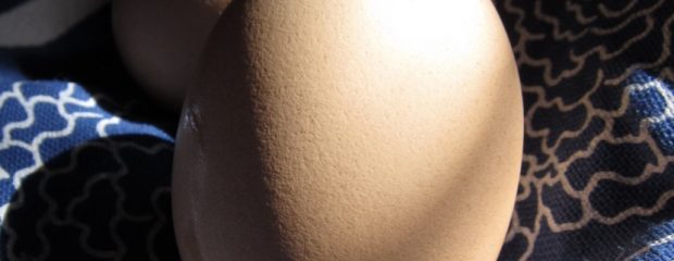 two eggs in shells on blue and white tea towel ©gillstannard naturopath