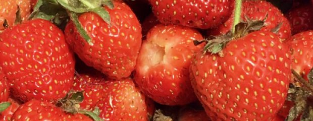 strawberries with green hulls