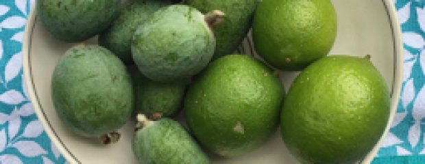 feijoas and limes in a a symetrical white bowl on patterned background
