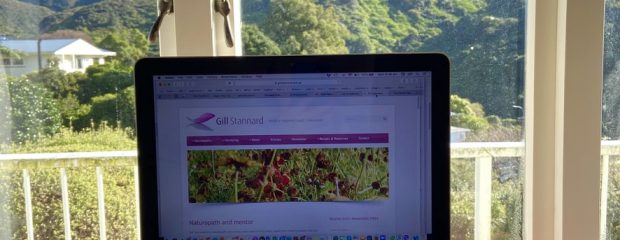 open laptop on desk looking out windows view green hills coverened in New Zealand native bush with blue sky
