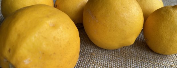 tumble of six lemons on beige-green hessian cloth ©gill stannard naturopath