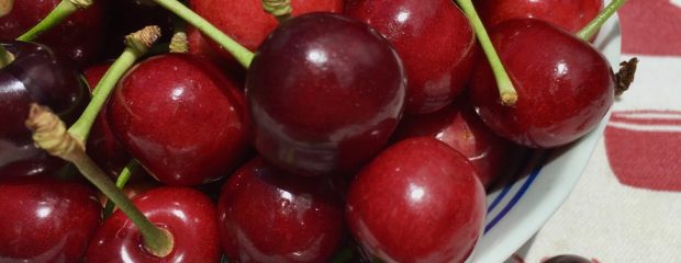light and dark cherries in a blue bowl with blue rim on red and white background