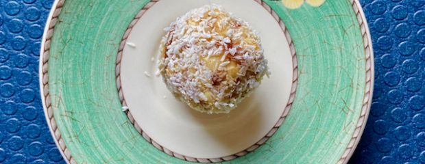 brown fruit and nut ball rolled in dessicate coconut on a green saucer with yellow butterfly