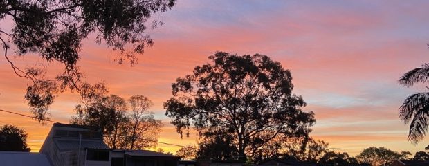 sunset at top purple sky, middle sillhouette of a tree against band of peach and gold, bottom terrace houses in shadow