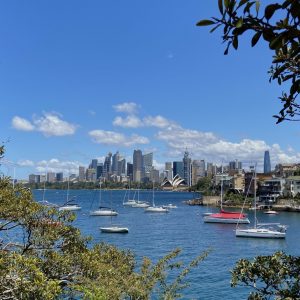 Sydney harbour from the lower north shore, small yachts on blue water, city skyline behind, blue sky, trees in foreground