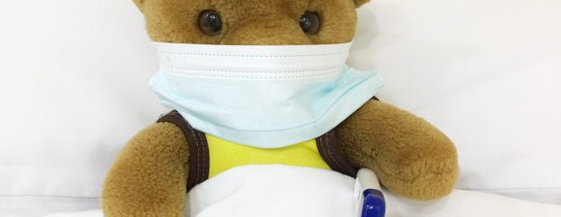 Teddy in bed tucked up with white sheets wearing a surgical mask with blue and white digital thermometer under arm